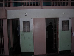 DSCN0439.JPG