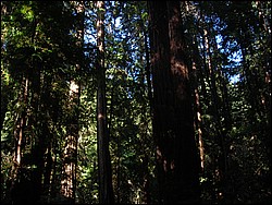 DSCN0457.JPG