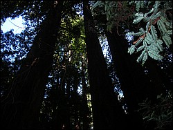 DSCN0458.JPG