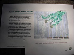 DSCN0459.JPG