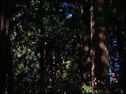 DSCN0464.JPG