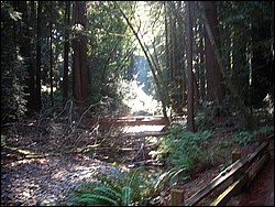 DSCN0481.JPG