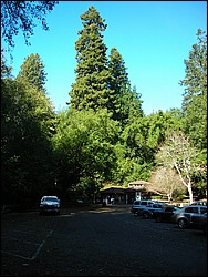 DSCN0486.JPG