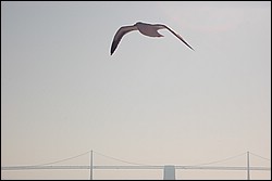 DSC_0010.JPG
