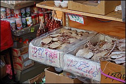 DSC_0051.JPG