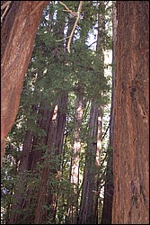 DSC_0094.JPG