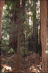 DSC_0095.JPG