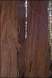 DSC_0100.JPG