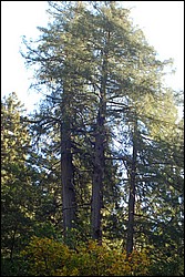 DSC_0104.JPG
