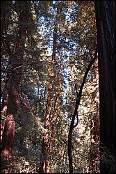 DSC_0105.JPG