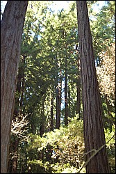 DSC_0110.JPG