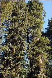 DSC_0127.JPG