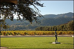 DSC_0135.JPG