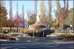 DSC_0140.JPG