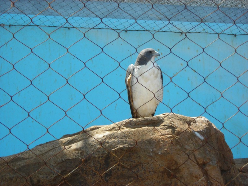 DSCN0589.JPG
