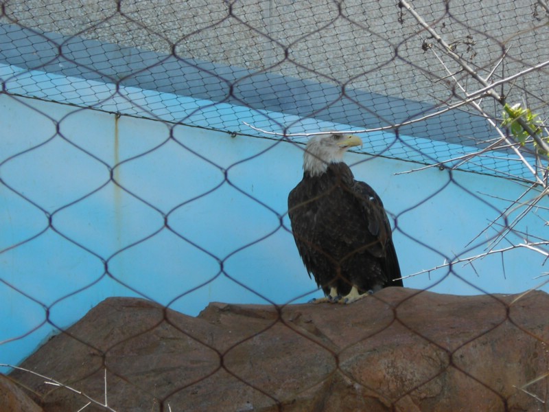 DSCN0590.JPG