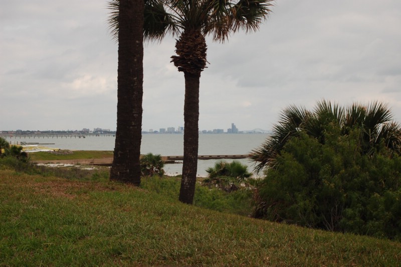 DSC_0040.JPG