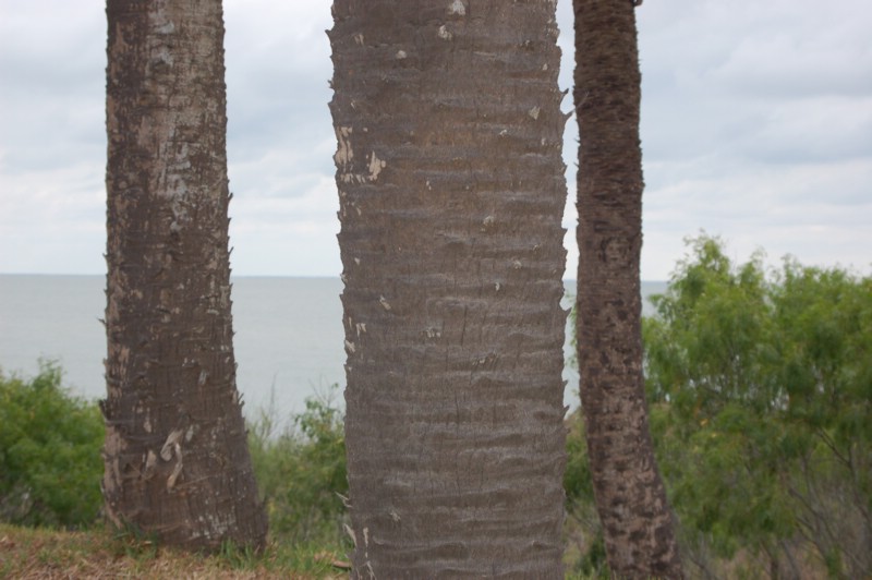 DSC_0041.JPG