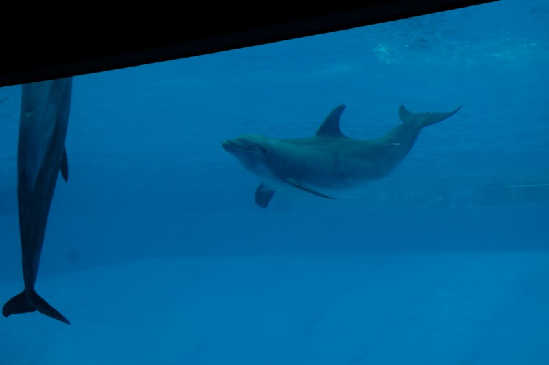 DSC_0085.JPG