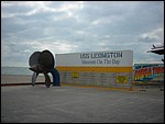 DSCN0541.JPG