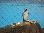 DSCN0589.JPG