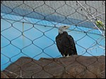 DSCN0590.JPG