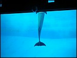 DSCN0592.JPG