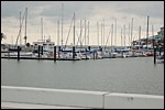 DSC_0042.JPG