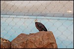 DSC_0081.JPG