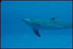 DSC_0087.JPG