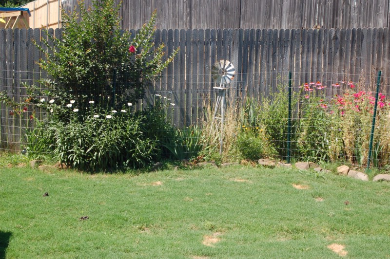 DSC_0144.JPG