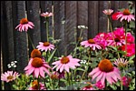 DSC_0134.JPG