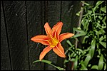 DSC_0136.JPG