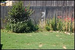 DSC_0144.JPG