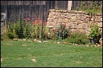 DSC_0145.JPG