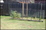 DSC_0146.JPG