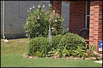 DSC_0156.JPG