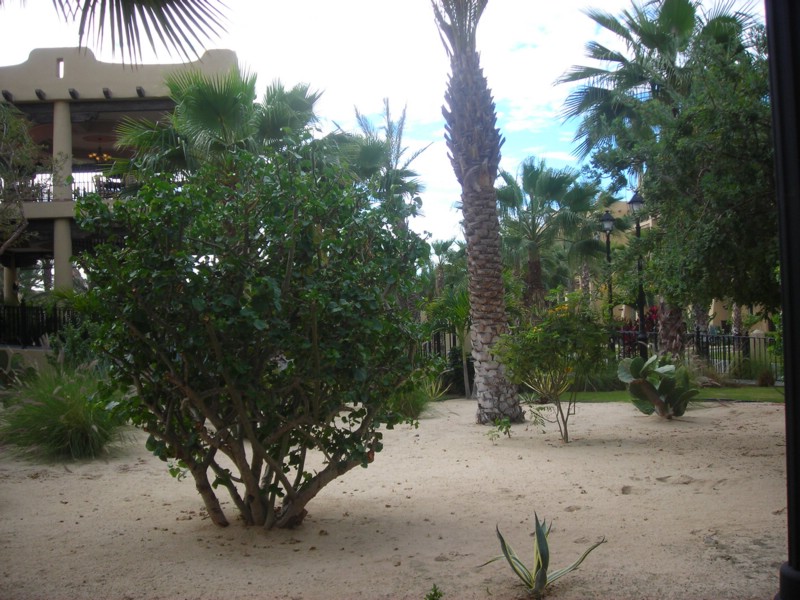 DSCN0677.JPG