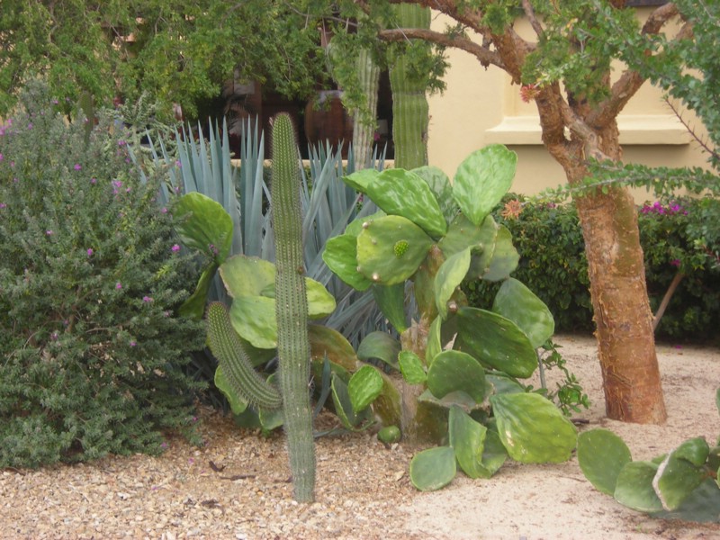 DSCN0688.JPG