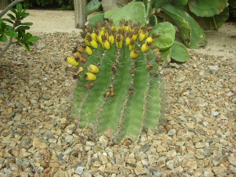 DSCN0690.JPG