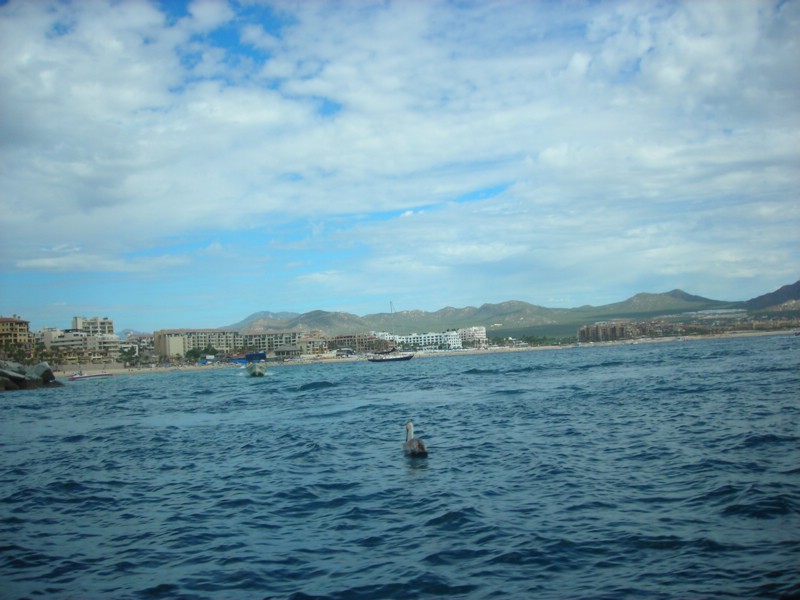 DSCN0695.JPG