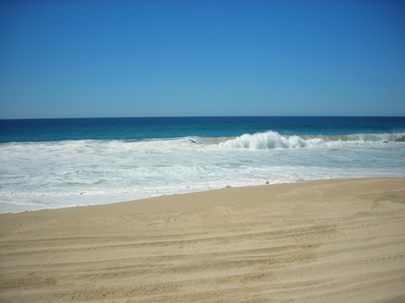 DSCN0706.JPG