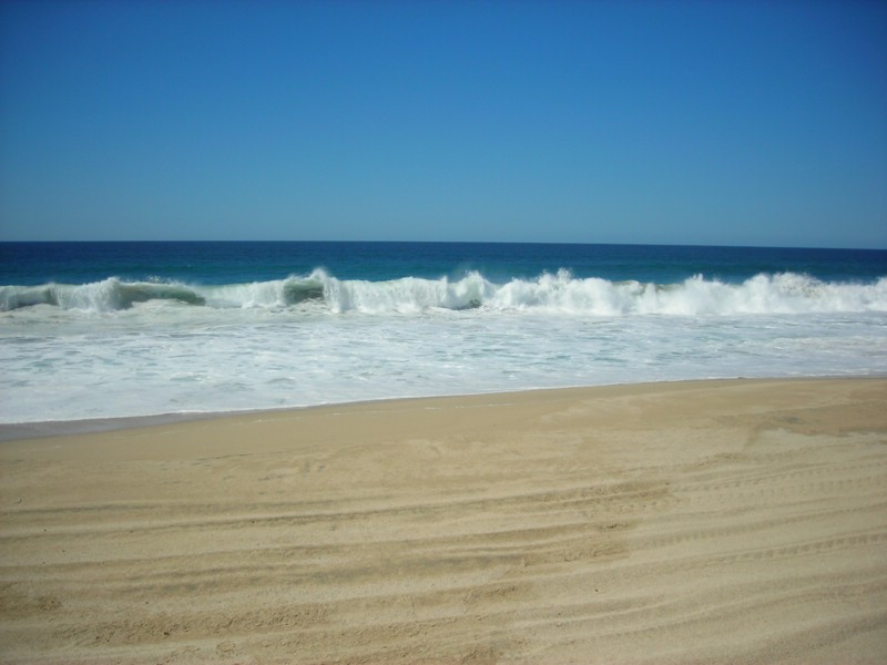 DSCN0707.JPG