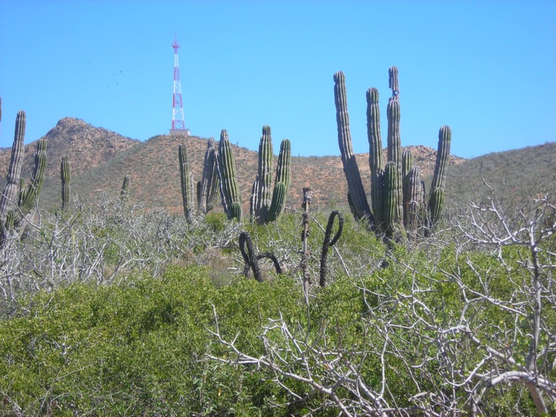 DSCN0709.JPG