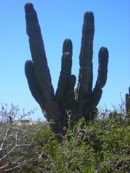 DSCN0710.JPG