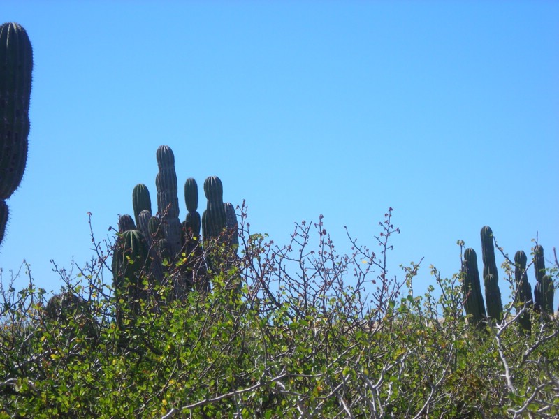 DSCN0711.JPG