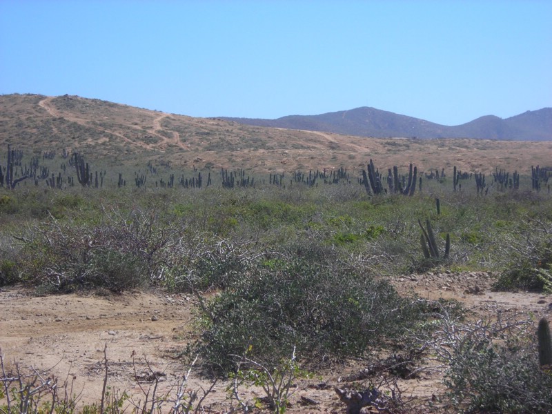 DSCN0712.JPG