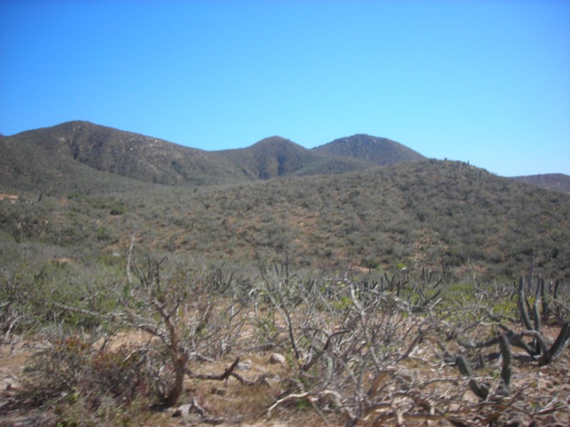 DSCN0718.JPG