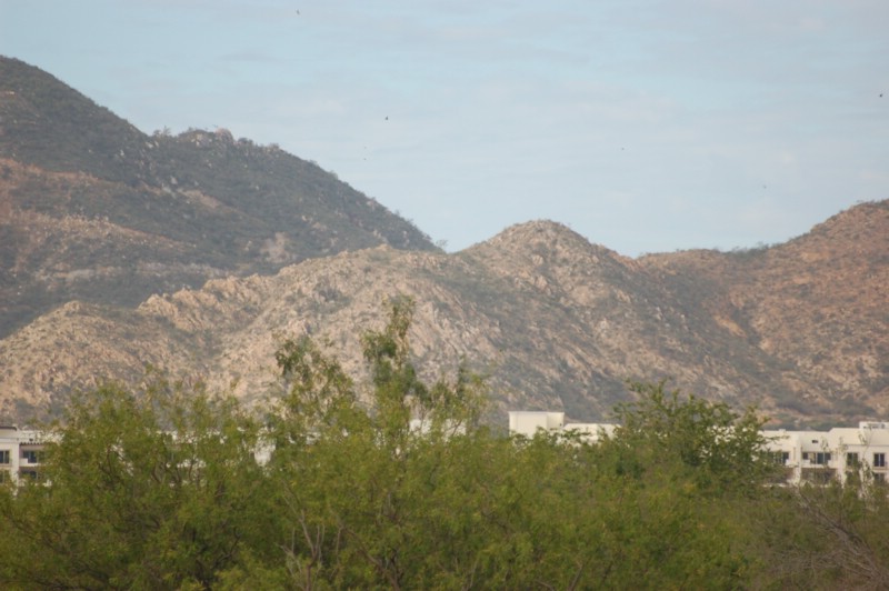 DSC_0003.JPG