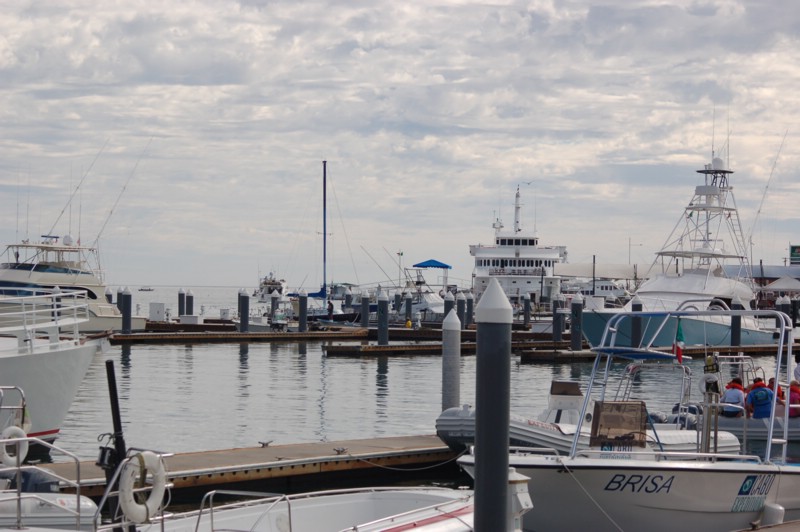DSC_0006.JPG